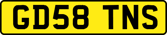 GD58TNS
