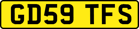 GD59TFS