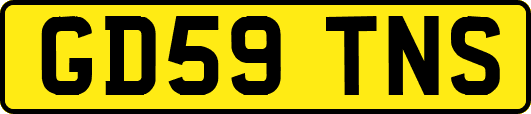 GD59TNS