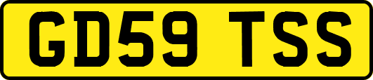 GD59TSS