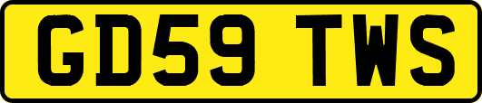GD59TWS