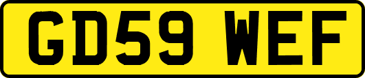 GD59WEF