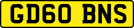 GD60BNS