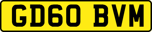 GD60BVM