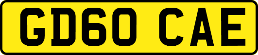 GD60CAE