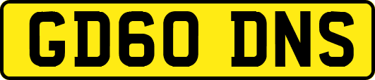 GD60DNS