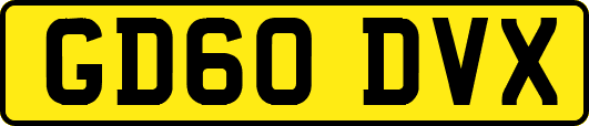 GD60DVX