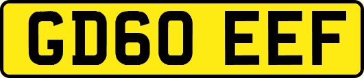 GD60EEF