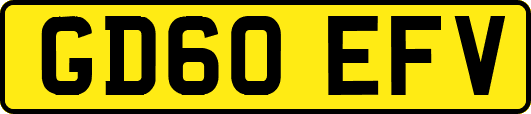 GD60EFV