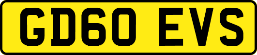 GD60EVS