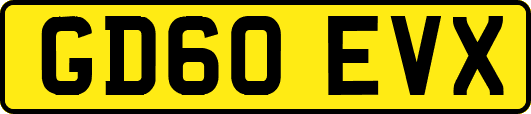 GD60EVX