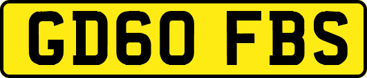 GD60FBS