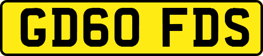 GD60FDS