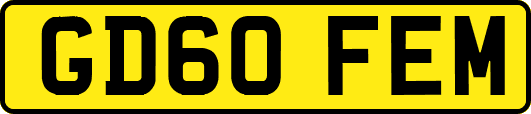 GD60FEM