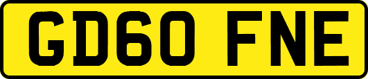 GD60FNE