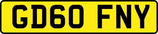 GD60FNY