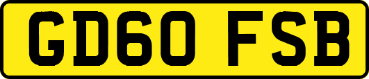 GD60FSB