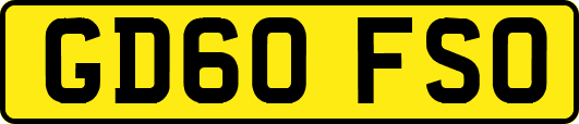 GD60FSO