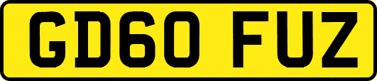 GD60FUZ