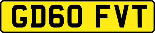 GD60FVT
