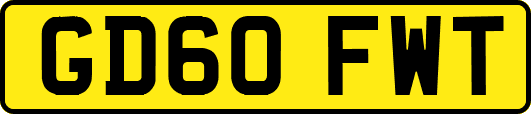 GD60FWT