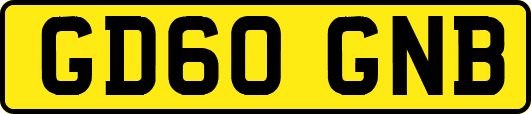 GD60GNB