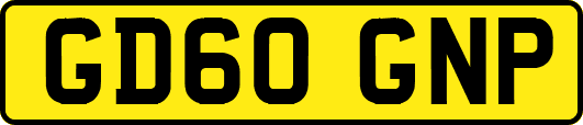 GD60GNP