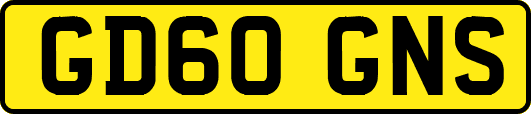 GD60GNS