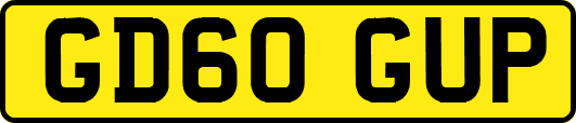 GD60GUP