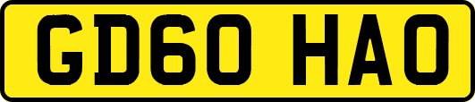 GD60HAO