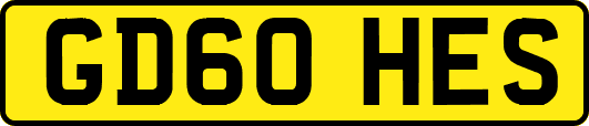 GD60HES