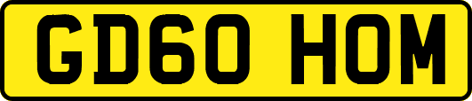 GD60HOM
