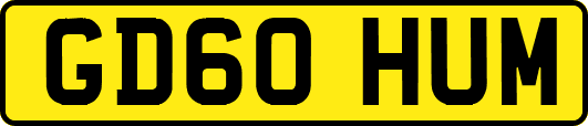 GD60HUM
