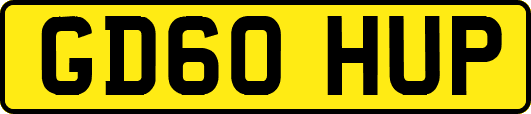 GD60HUP