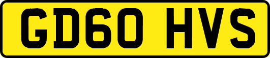 GD60HVS