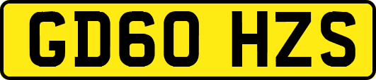 GD60HZS