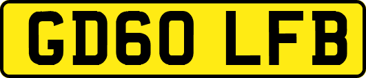 GD60LFB