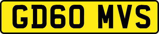 GD60MVS