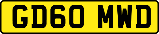 GD60MWD