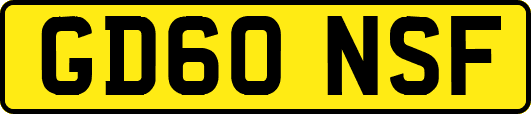 GD60NSF