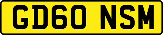 GD60NSM