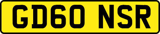 GD60NSR