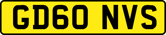 GD60NVS