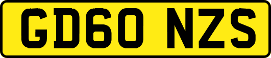 GD60NZS