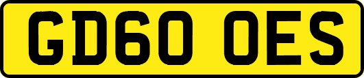 GD60OES