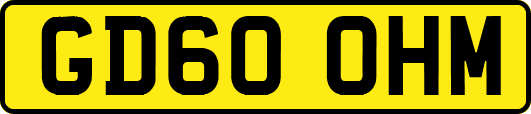 GD60OHM