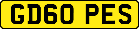 GD60PES