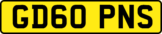 GD60PNS