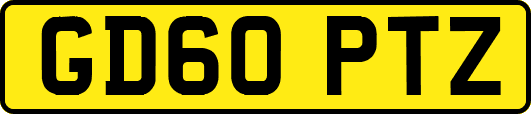 GD60PTZ