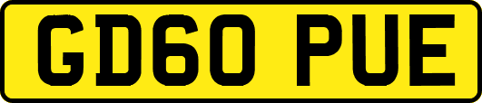 GD60PUE